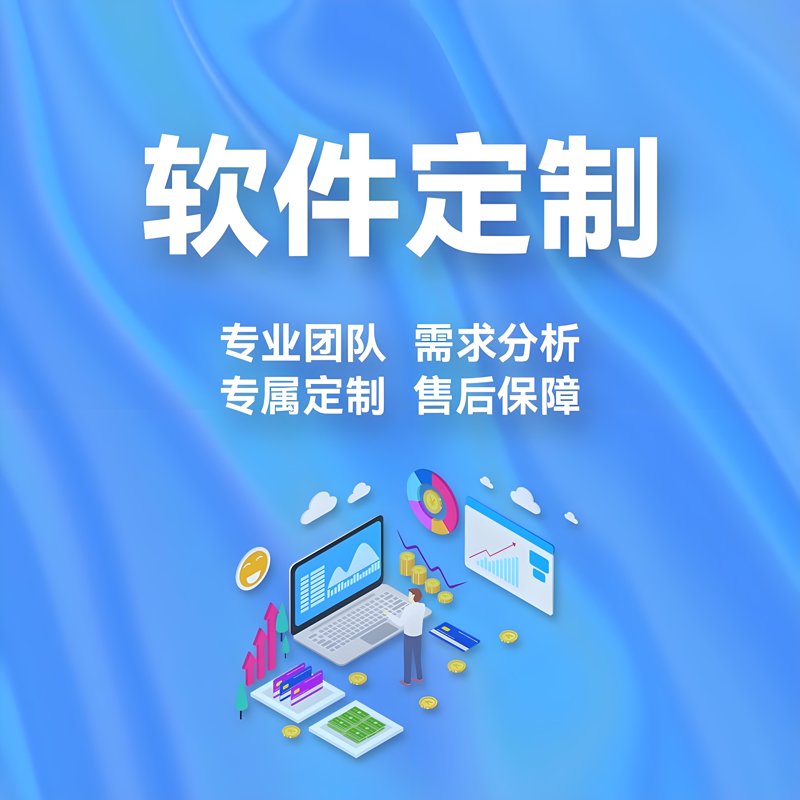 软件定制:企业数字化转型的新引擎